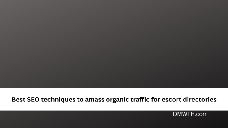 Best SEO techniques to amass organic traffic for escort directories