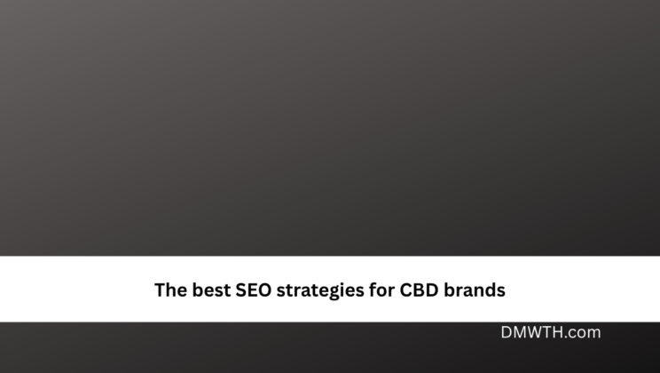 The best SEO strategies for CBD brands